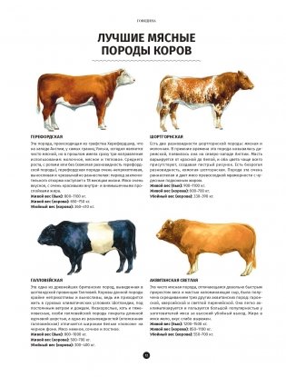 Мясо. Полное иллюстрированное руководство фото книги 9
