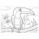 Раскраска по номерам "Птицы", А4, с восковыми мелками, 4 рисунка фото книги маленькое 9