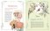 Атлас фей и других волшебных существ фото книги маленькое 4