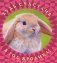 Будь счастлив в год Кролика! фото книги маленькое 2
