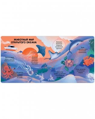 Океаны и моря. Энциклопедия с окошками фото книги 3