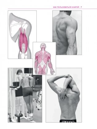 Спортивная анатомия фото книги 6
