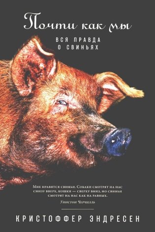 Почти как мы: Вся правда о свиньях фото книги