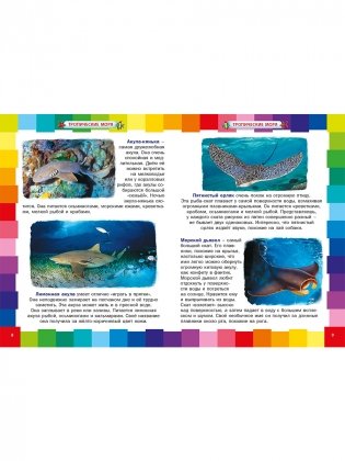 Удивительный подводный мир. Энциклопедия для малышей фото книги 2