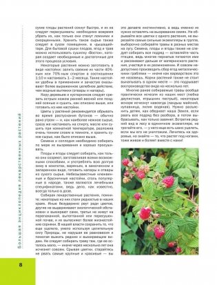Большая иллюстрированная энциклопедия лекарственных растений фото книги 8