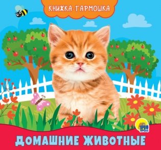 Книжка-гармошка. Домашние животные фото книги