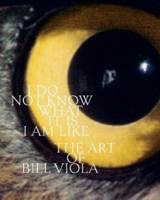 I Do Not Know What It Is I Am Like. The Art of Bill Viola фото книги