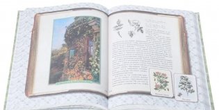 Занимательная ботаника фото книги 4