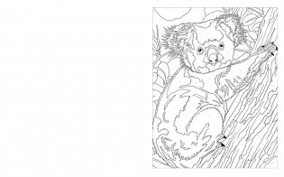 Colour by Numbers: Animal Kingdom фото книги 4