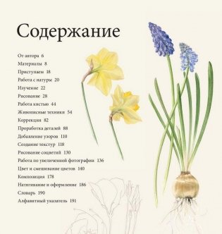 Ботанические портреты. Практическое руководство по рисованию акварелью фото книги 3
