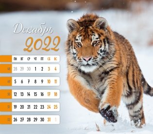 Календарь-домик (евро) "Символ года 2. Маркет" на 2022 год фото книги 3
