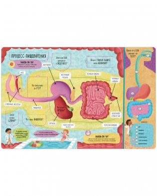 Большая книга с окошками. Тело человека фото книги 5