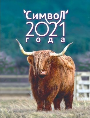 Календарь на магните на 2021 год "Символ года" фото книги