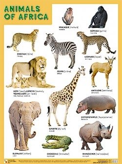 Плакат ANIMALS OF AFRICA (Животные Африки) фото книги