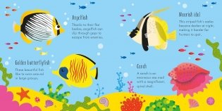 Under The Sea Matching Games And Book фото книги 4