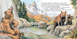 Приключения медвежонка фото книги 2