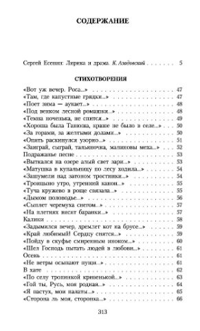 Не жалею, не зову, не плачу фото книги 2