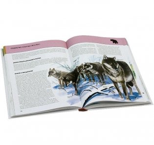 Животные. Полная энциклопедия фото книги 3