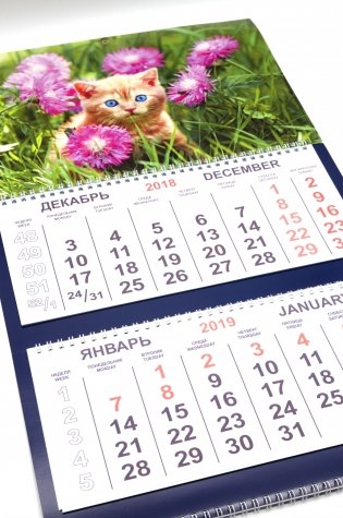 Календарь квартальный на 2019 год. "Котенок 2" фото книги 3