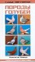 Самые популярные породы голубей фото книги маленькое 2