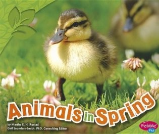 Animals in Spring фото книги