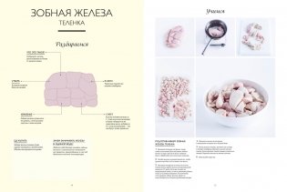Большая книга мясных деликатесов фото книги 4