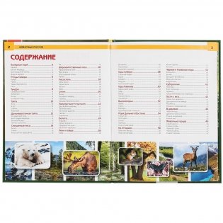 Животные России фото книги 2