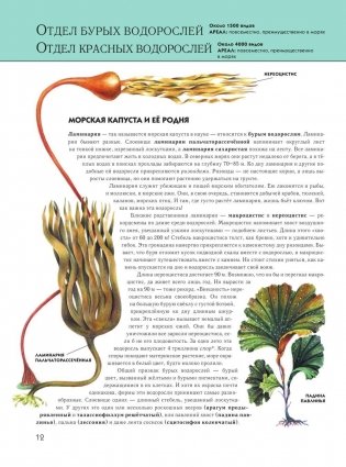 Растения: полная энциклопедия фото книги 11