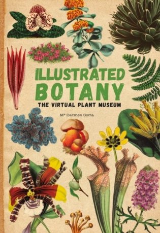 Illustrated Botany: The Virtual Plant Museum фото книги