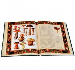 Русский лес: грибы и ягоды фото книги 2