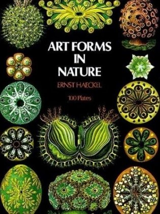 Art Forms in Nature фото книги