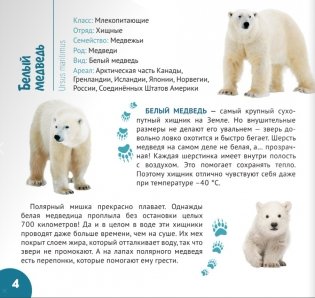 За полярным кругом. Серия "Планета животных" фото книги 3