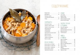 Мясные деликатесы. Закуски, паштеты, колбаски, ветчина фото книги 2