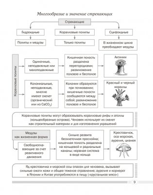 Биология. 8 класс. Опорные конспекты, схемы и таблицы. ГРИФ фото книги 8