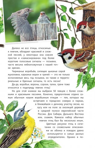 Певчие птицы. Средняя полоса европейской части России. Определитель с голосами птиц фото книги 6