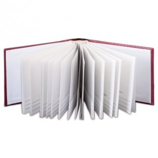 Фотоальбом "Brauberg", на 100 фото 10x15 см, цвет бордовый фото книги 2