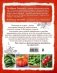 Все о томатах и огурцах от Октябрины Ганичкиной фото книги маленькое 9