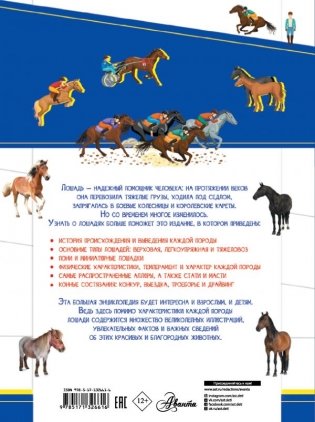Большая энциклопедия о лошадях фото книги 2