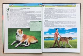 Энциклопедия. Собаки фото книги 4