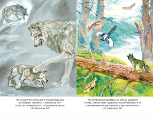 Белый клык фото книги 5