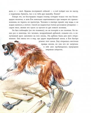 Зов предков (ил. В. Канивца) фото книги 18