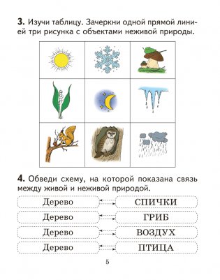 Человек и мир. 2 класс. Практикум. ГРИФ фото книги 4