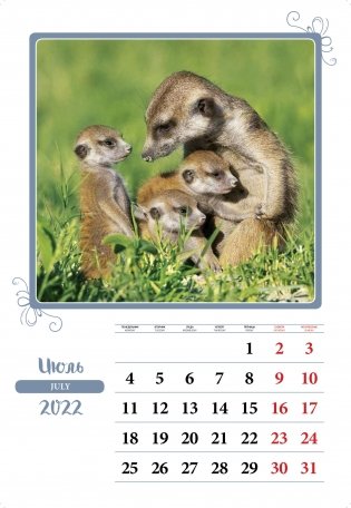 Календарь на 2022 год "Материнская любовь" (КР21-22027) фото книги 3