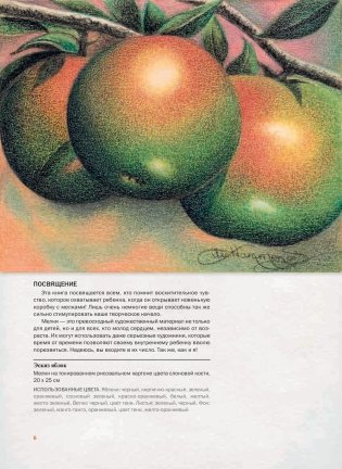 Удивительное рисование мелками. Руководство фото книги 14