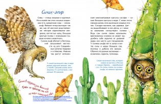 Птички-невелички. Кто на свете меньше всех? фото книги 4