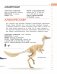 Динозавры. Полный иллюстрированный словарь фото книги маленькое 16