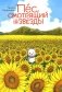 Пес, смотрящий на звезды: манга фото книги маленькое 2