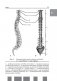 Анатомия человека. Полный компактный атлас фото книги маленькое 10