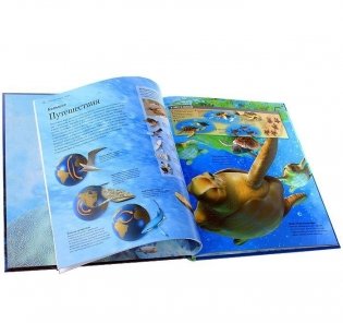 Легенды и чудеса океана фото книги 2