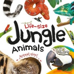 Life-size. Jungle Animals фото книги